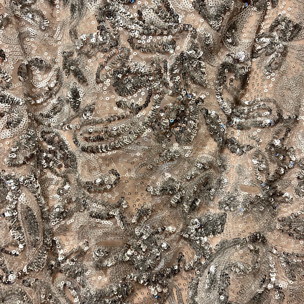 Silver sequin dress inside is very sheer